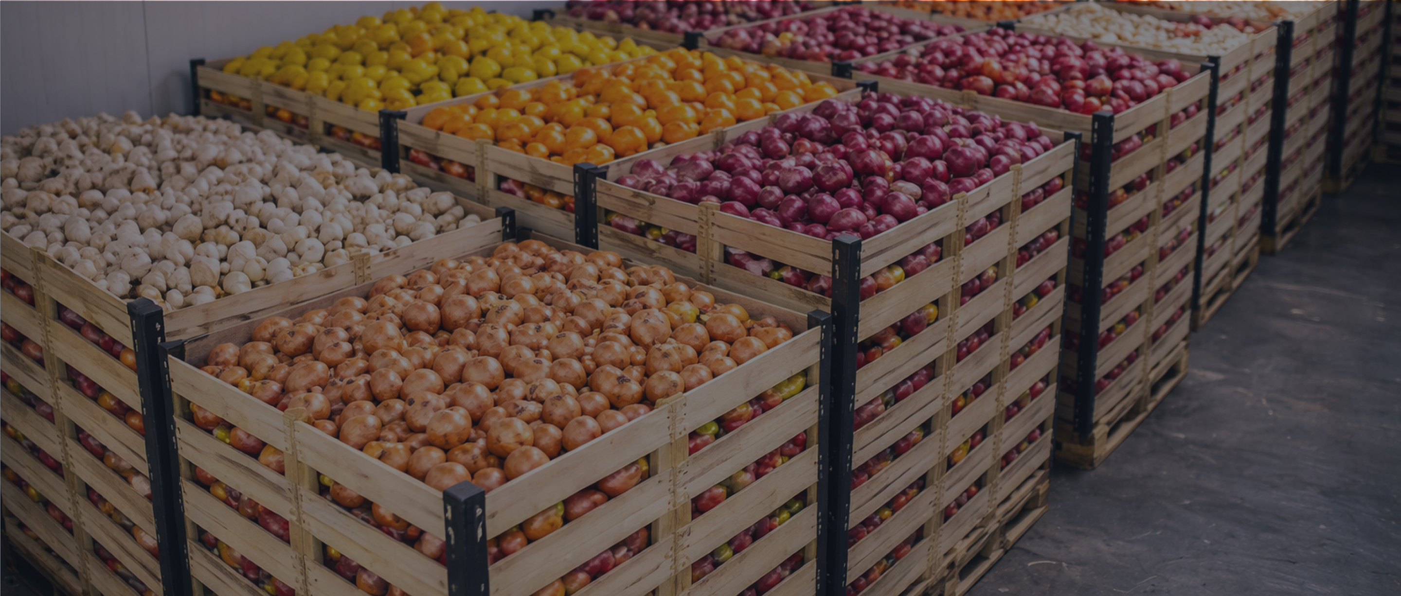 Global Export Product Collections