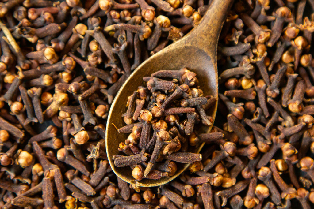 High oil clove spice close view