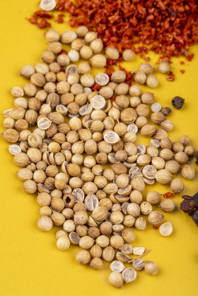 Export grade coriander seeds