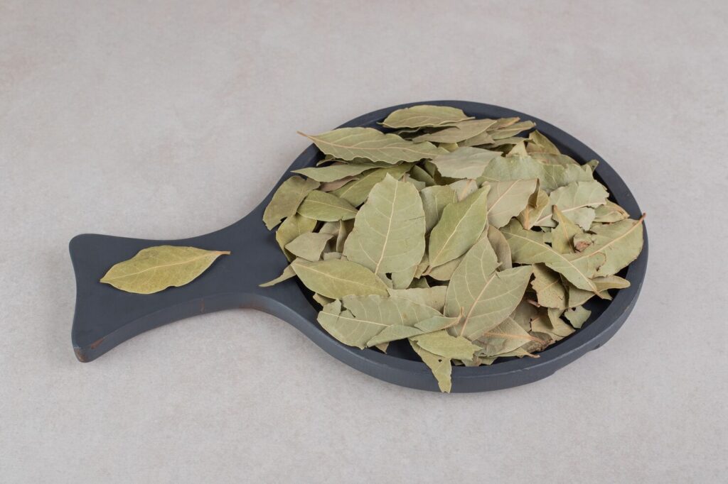 Bulk bay leaves supplier stock