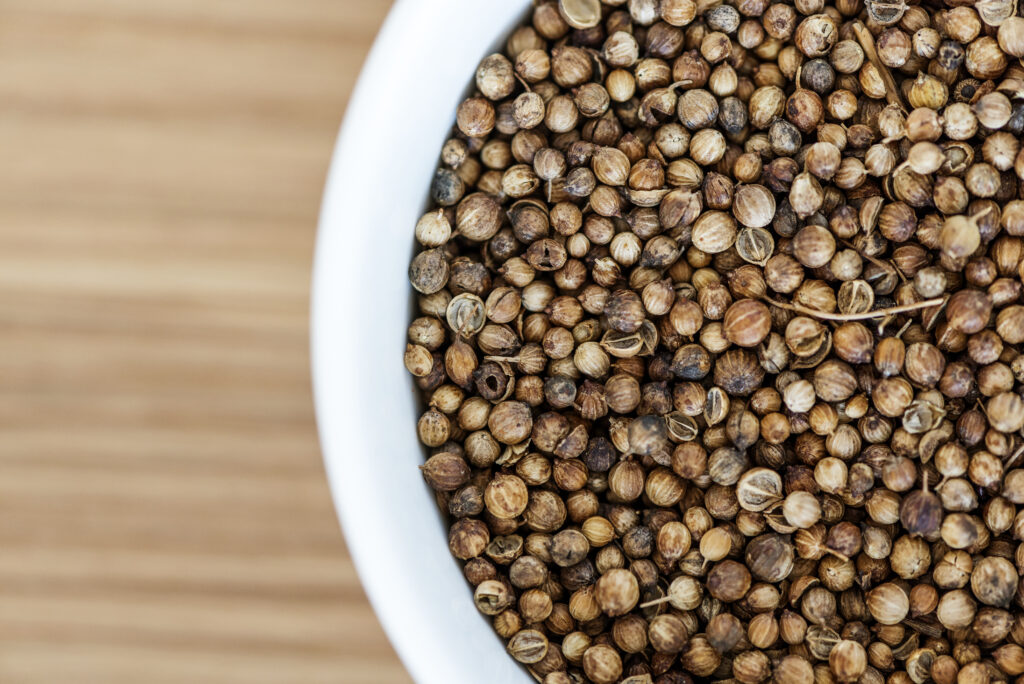 Natural whole coriander seeds close view