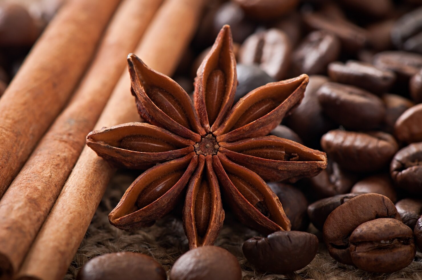 Bulk star anise supplier stock