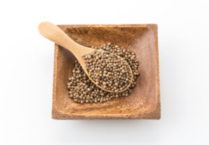 Bulk coriander seeds supplier stock