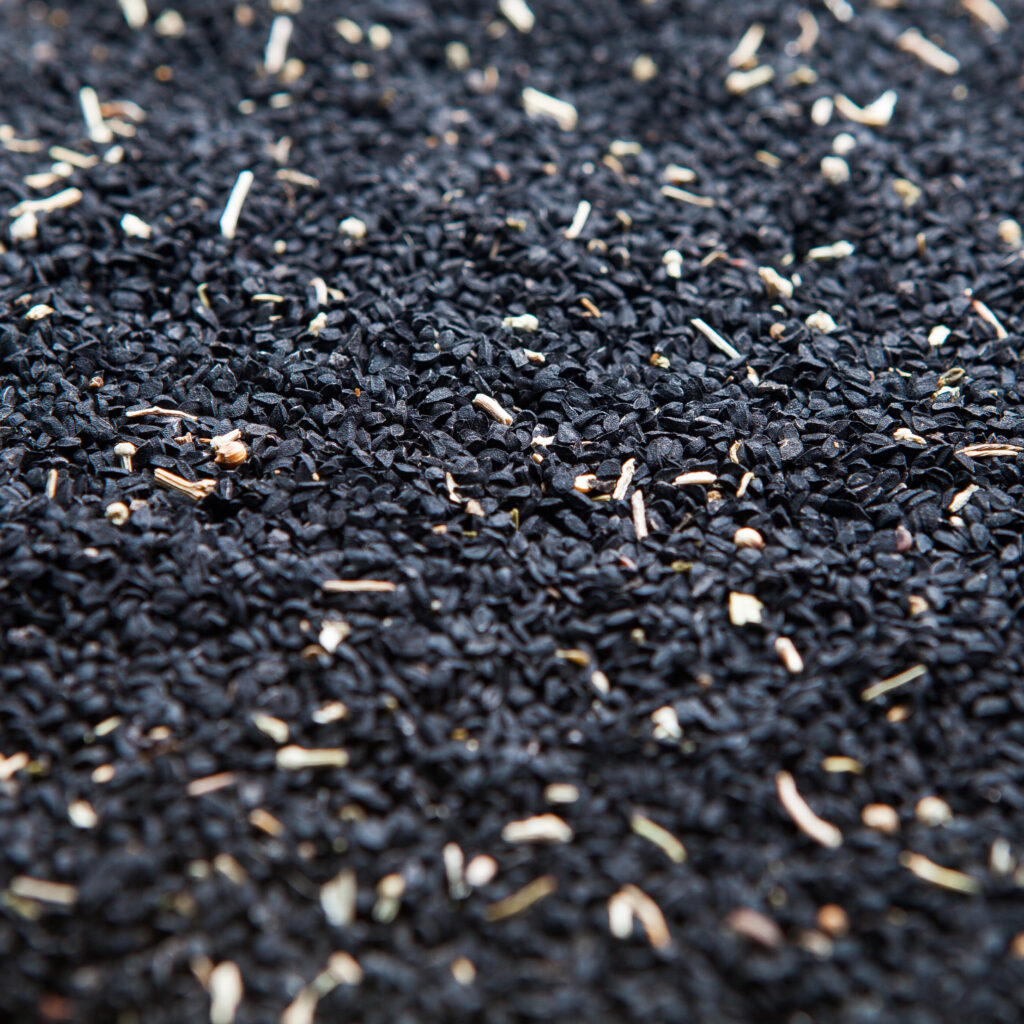 Export grade nigella seeds