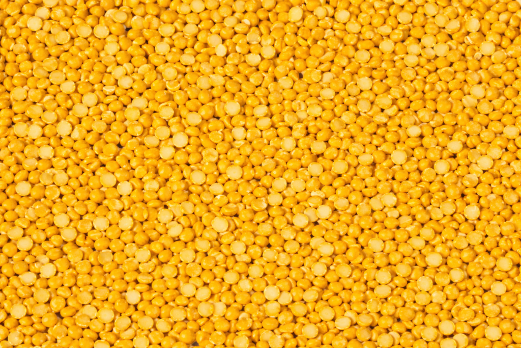 Split yellow lentils batch