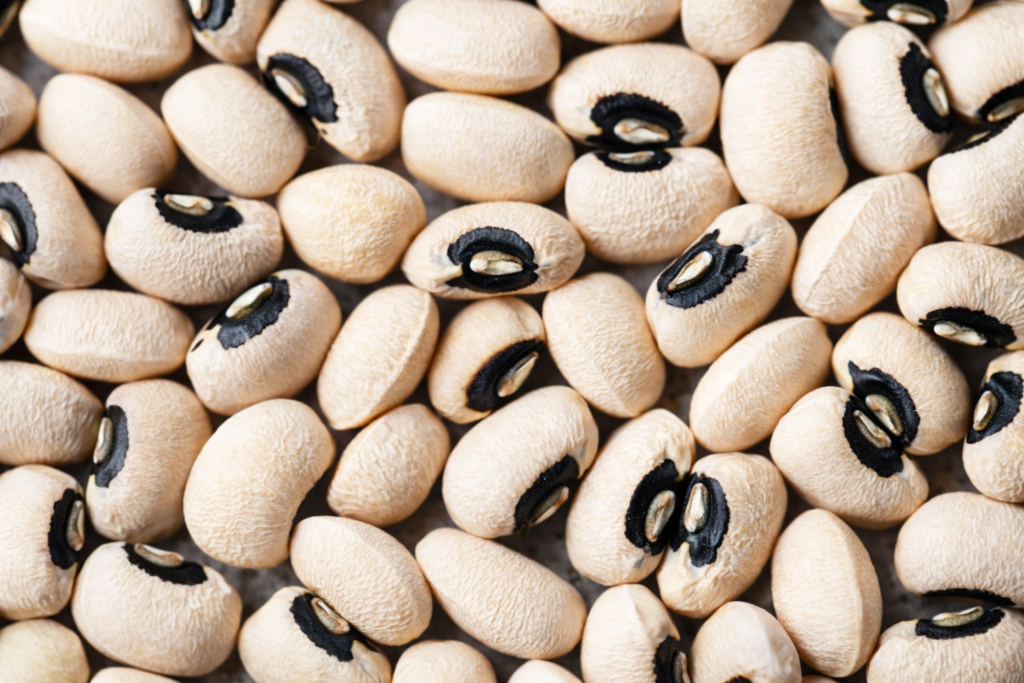 Clean graded black eyed beans