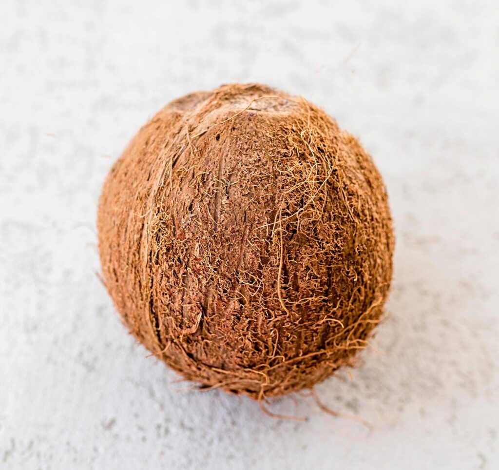 Pahank copra for oil extraction