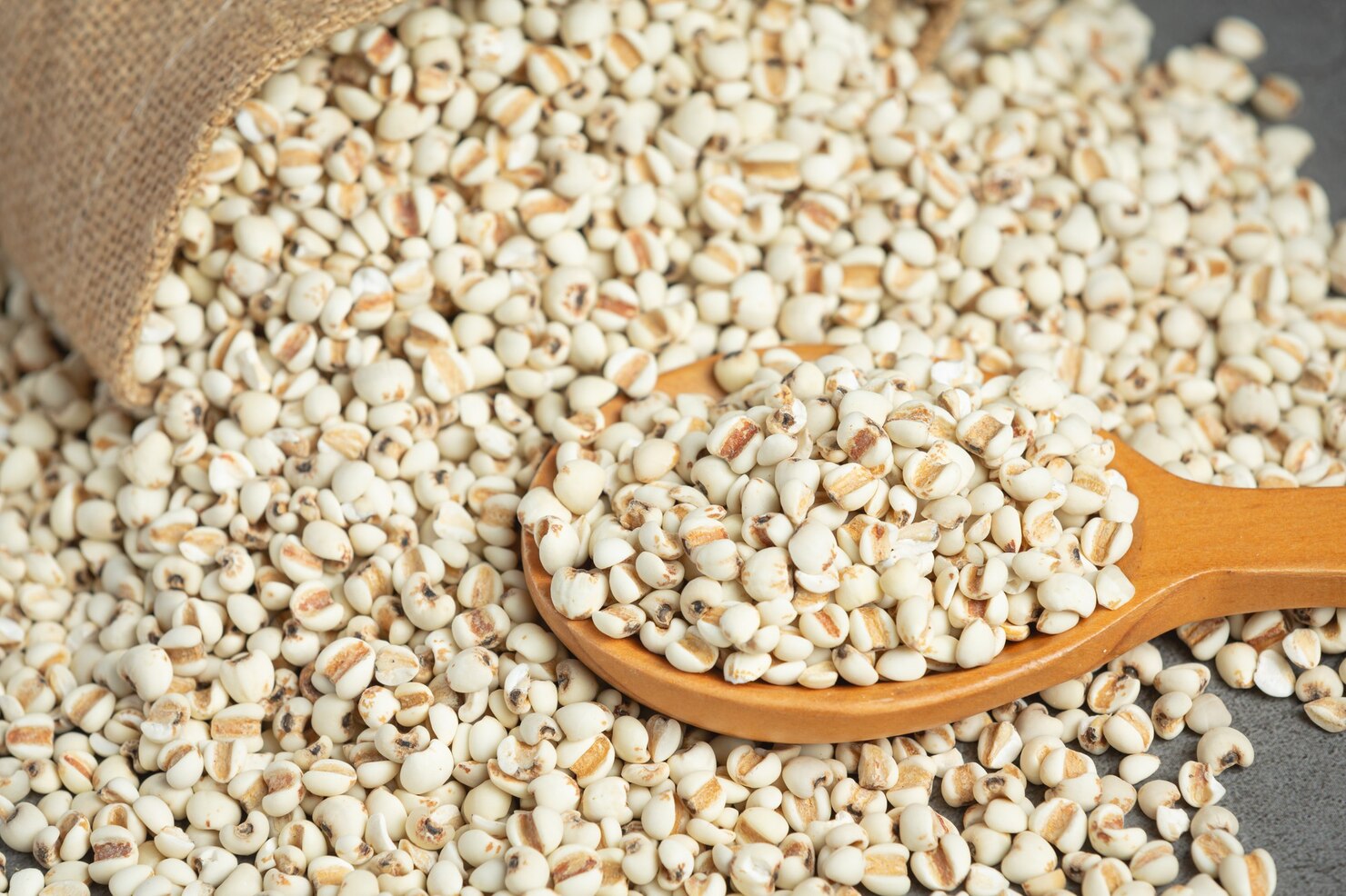 Bulk pearl millet supplier grain