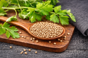 Pahank dried coriander leaves bulk supply