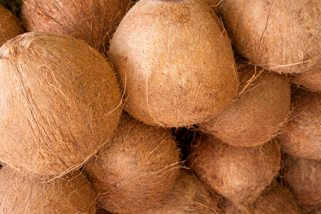 Pahank premium copra quality