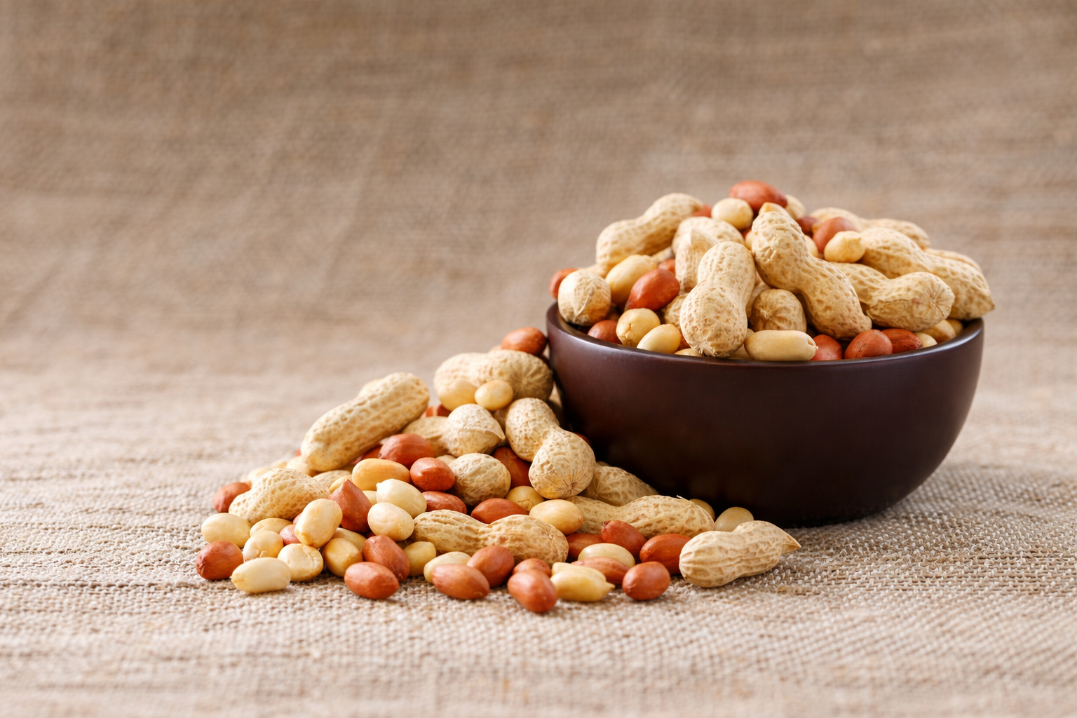 Pahank groundnut kernels bulk supply