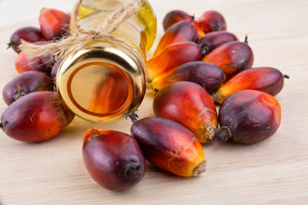 Pahank refined palm oil bulk supply