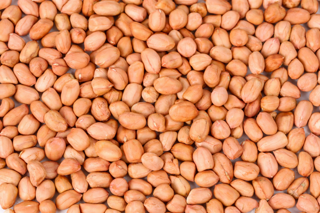 Pahank peanut export packaging