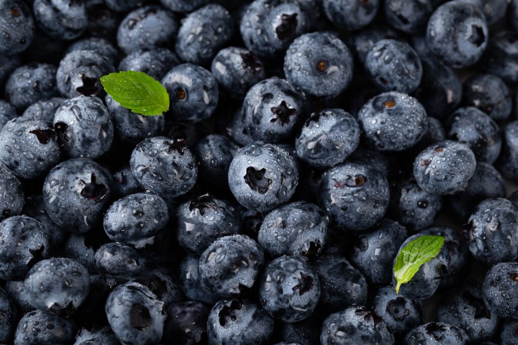 Pahank blueberries for food processing