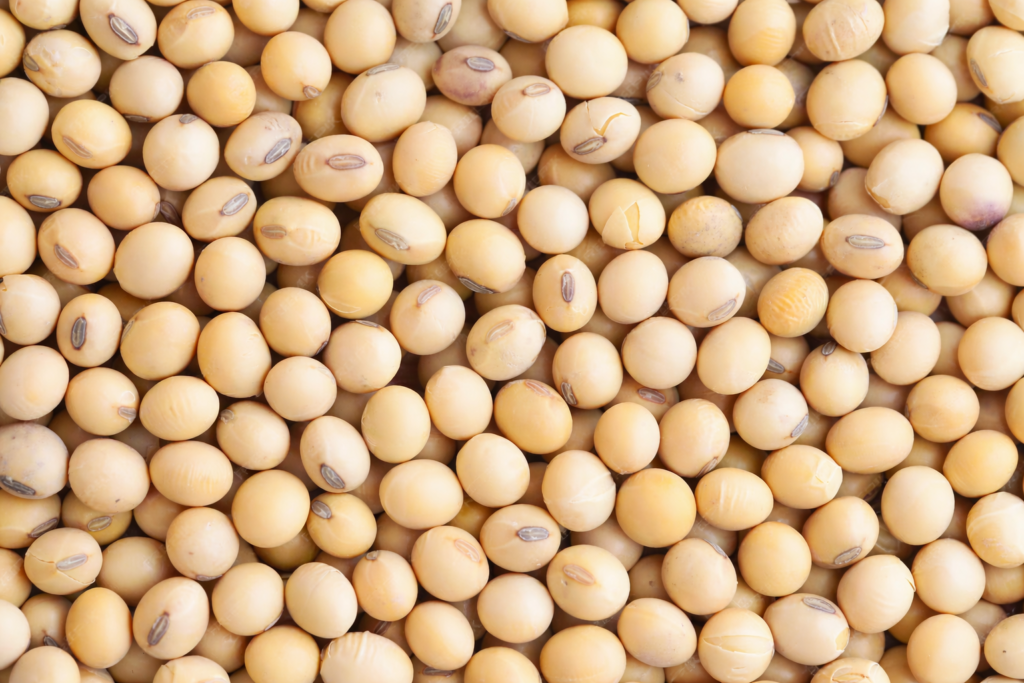 Pahank soybean cooking oil packaging