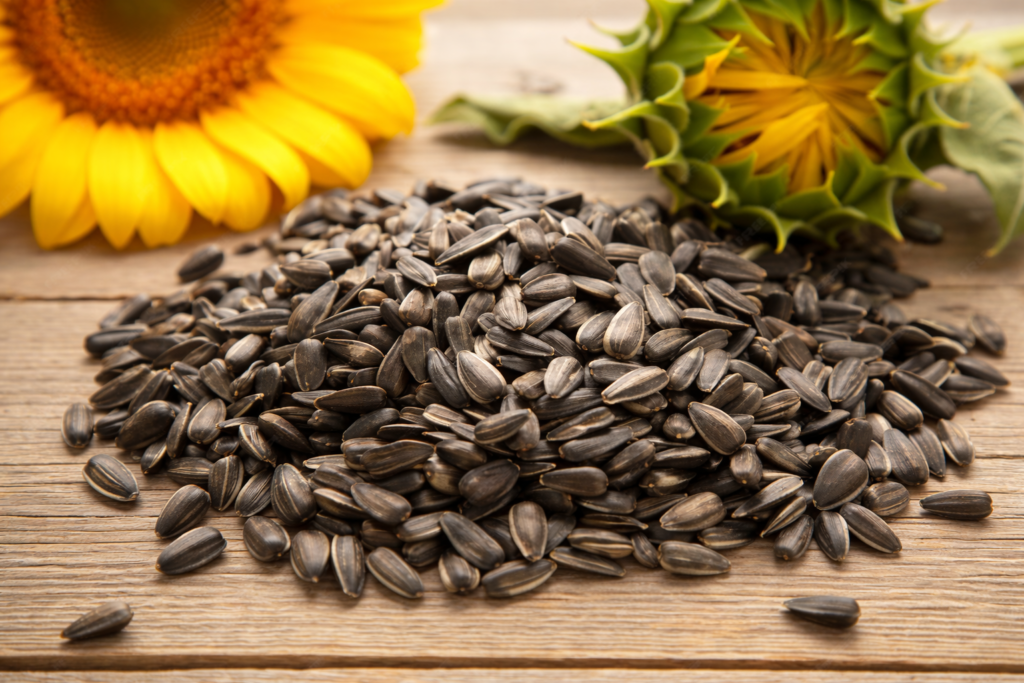 Pahank premium sunflower kernels quality