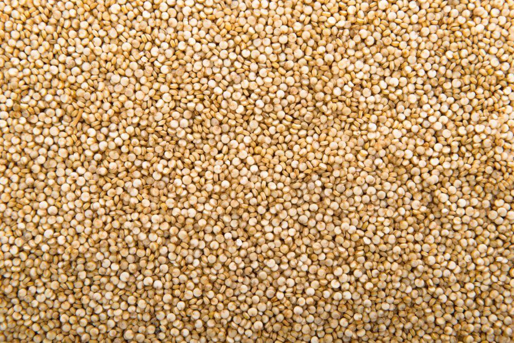 Cleaned sorghum wholesale batch