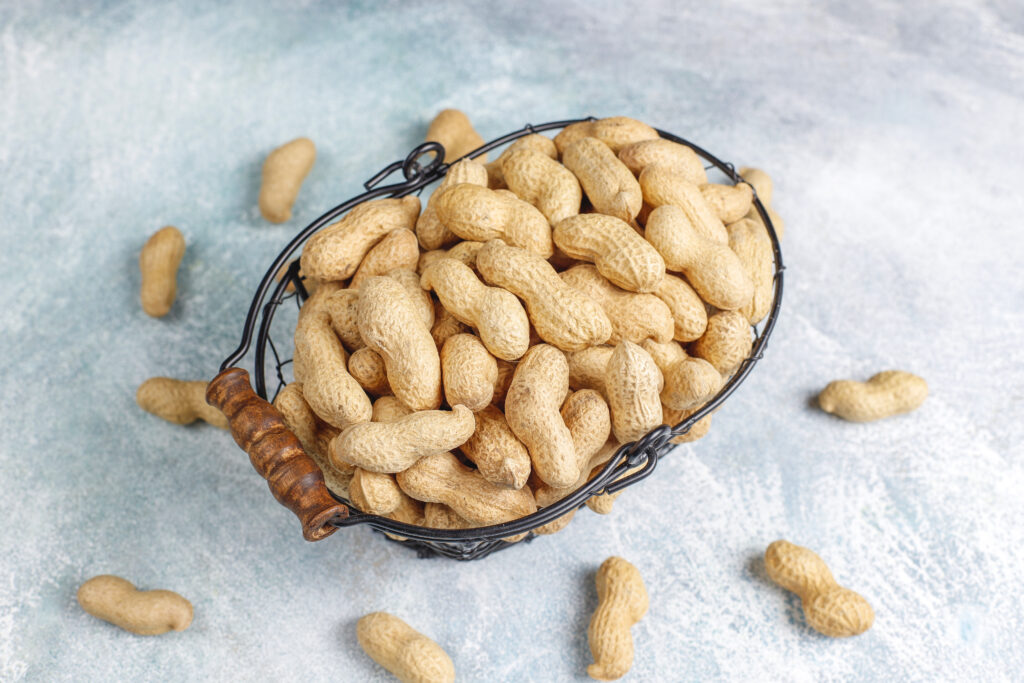 Pahank groundnut for oil extraction