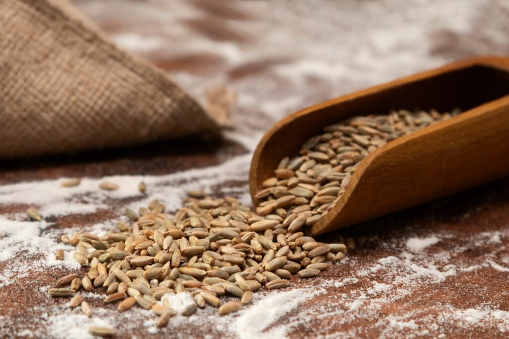 Hybrid cereal export quality