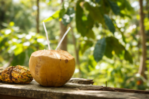 Pahank coconut water bulk supply